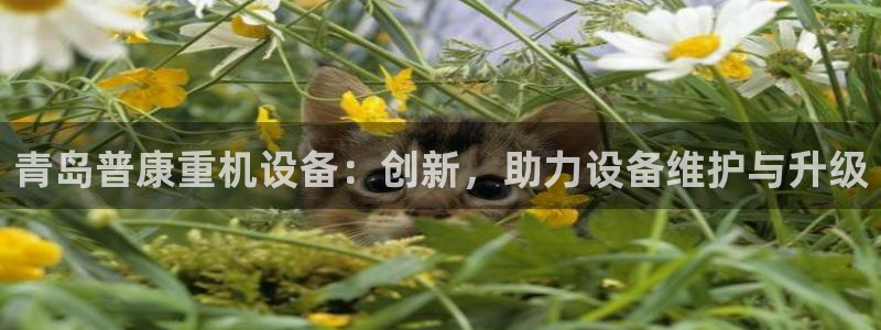 天宏娱乐老秦