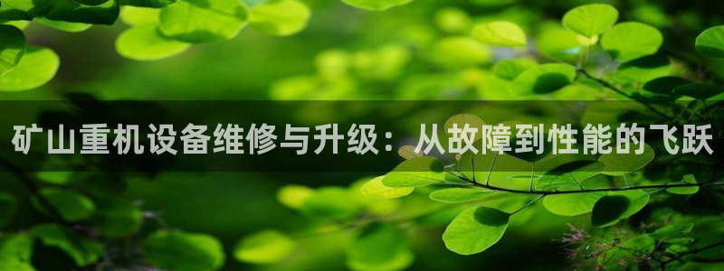天宏娱乐app的下载