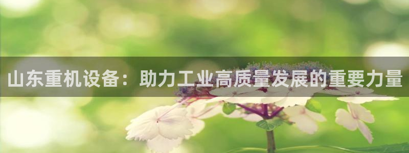 天宏娱乐老男孩团队