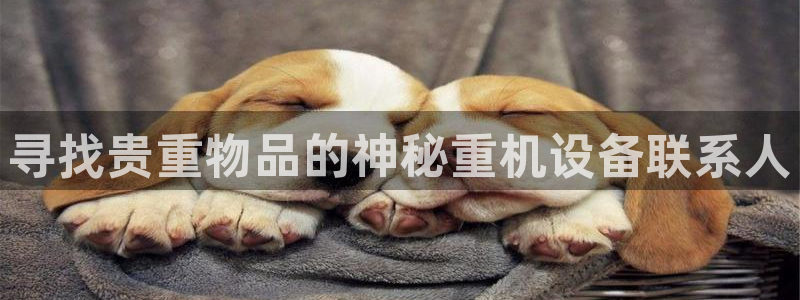 天宏娱乐a 判官