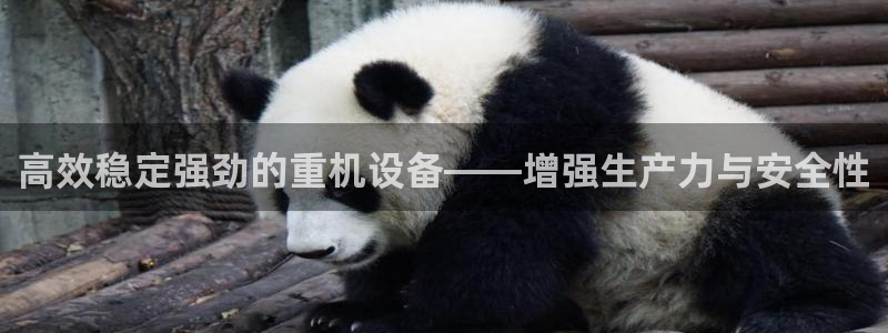天宏娱乐js