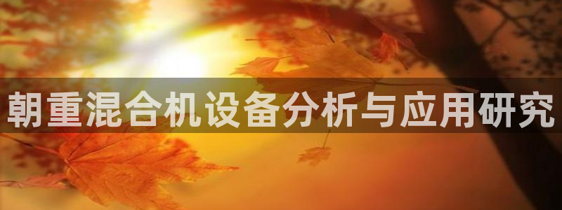 天宏娱乐金大叔