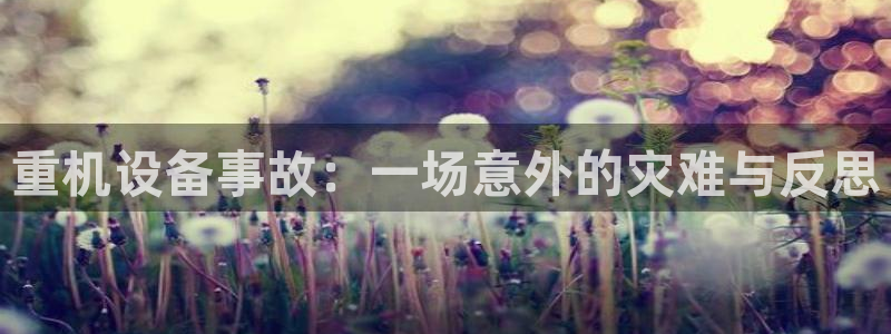 天鲸正宏娱乐是什么