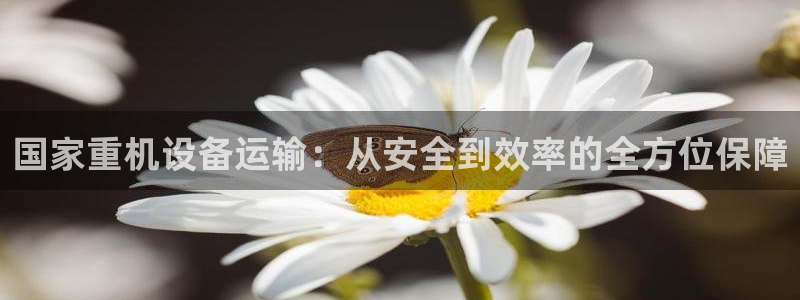 天宏娱乐直播间怎么进