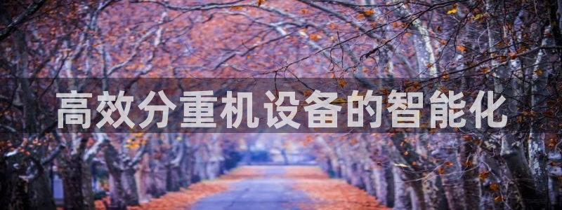 天宏娱乐i 判官