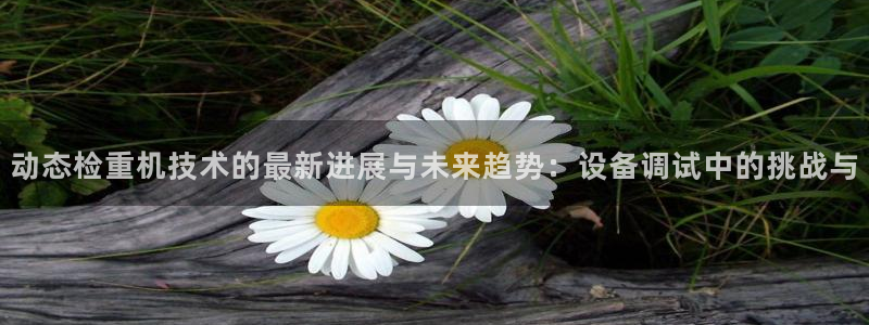 天宏娱乐管a事443593：动态检重机技术的最新进展与未来趋