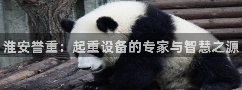天宏娱乐直播间怎么进入：淮安誉重：起重设备的专家与智慧之源