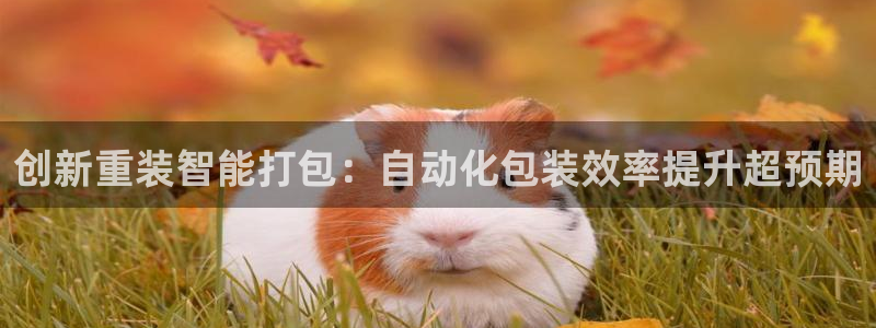 天宏娱乐韩叔视频：创新重装智能打包：自动化包装效率提升超预期