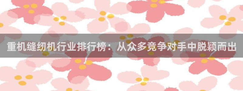 天宏娱乐男孩：重机缝纫机行业排行榜：从众多竞争对手中脱颖而出
