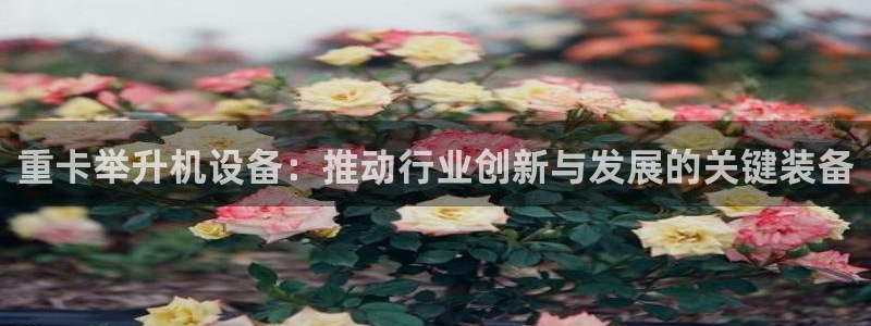 天宏娱乐岁月悠然：重卡举升机设备：推动行业创新与发展的关键装