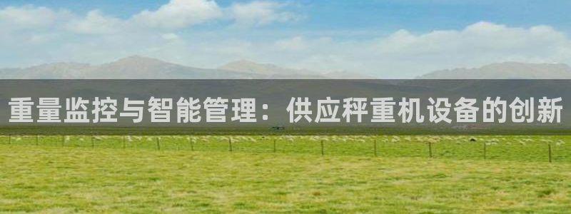 天宏娱乐中意hfqjwl下拉：重量监控与智能管理：供应秤重机