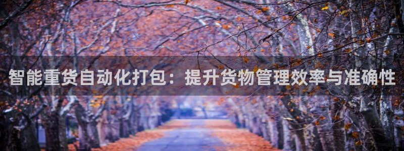 天宏娱乐平台：智能重货自动化打包：提升货物管理效率与准确性