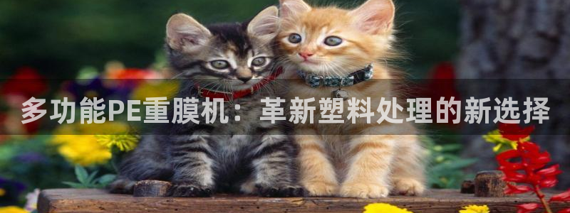 宏天娱乐俱乐部：多功能PE重膜机：革新塑料处理的新选择