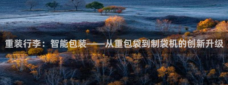 西安天宏娱乐老男孩：重装行李：智能包装——从重包袋到制袋机的