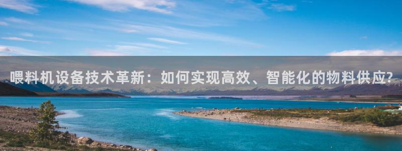 天宏娱乐钟叔：喂料机设备技术革新：如何实现高效、智能化的物料