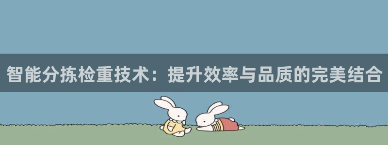 宏天广场娱乐：智能分拣检重技术：提升效率与品质的完美结合
