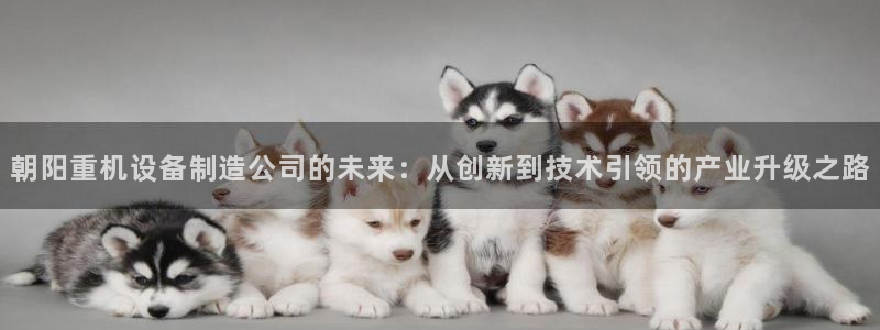 天宏娱乐注册32937：朝阳重机设备制造公司的未来：从创新到
