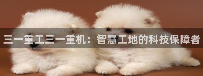 天宏娱乐app：三一重工三一重机：智慧工地的科技保障者
