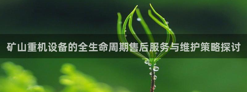 天宏娱乐时时彩：矿山重机设备的全生命周期售后服务与维护策略探
