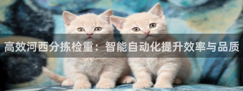 天宏娱乐招商主管