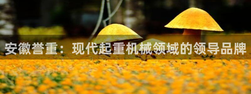 天宏娱乐河源店