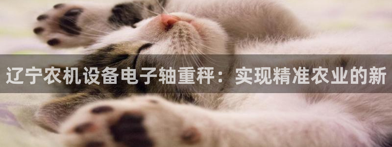 西安天宏娱乐老男孩