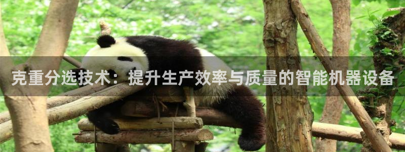 天宏娱乐app：克重分选技术：提升生产效率与质量的智能机器设