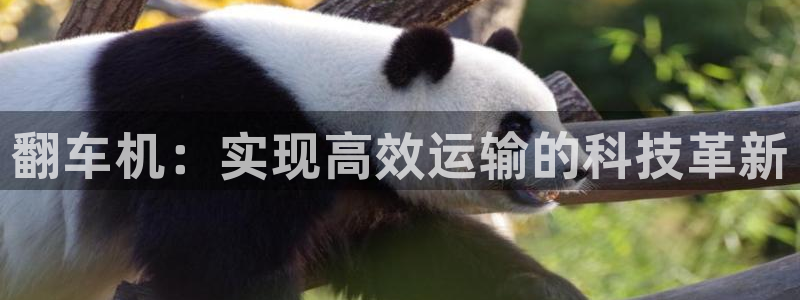 天宏娱乐会所电话