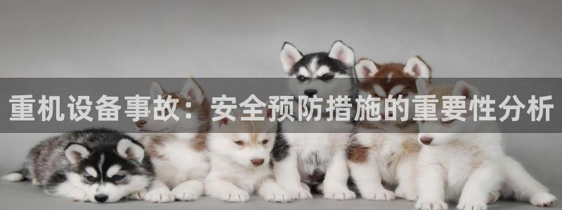 天宏娱乐6号：重机设备事故：安全预防措施的重要性分析