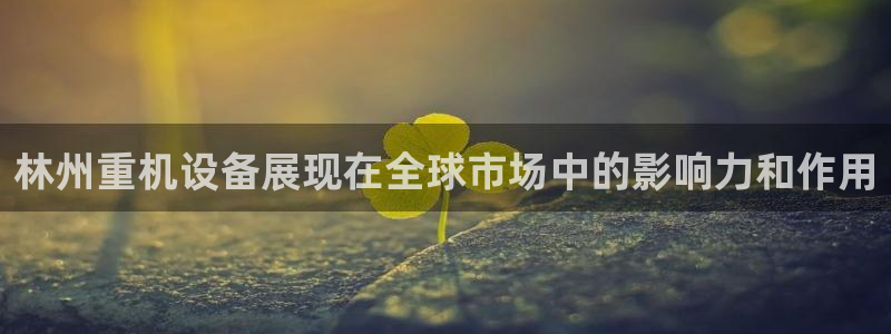 天宏娱乐平台下载：林州重机设备展现在全球市场中的影响力和作用