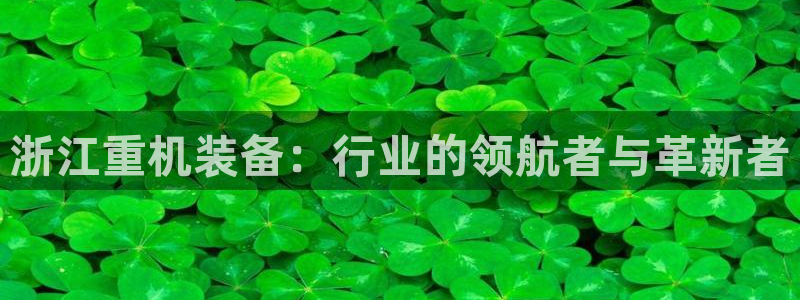 天宏娱乐团购活动：浙江重机装备：行业的领航者与革新者