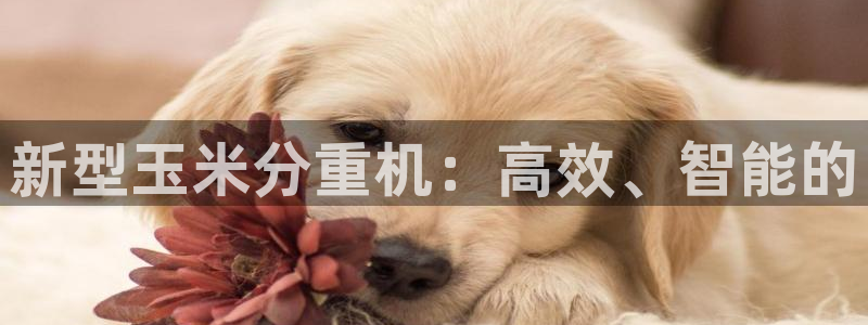 天宏娱乐app下载