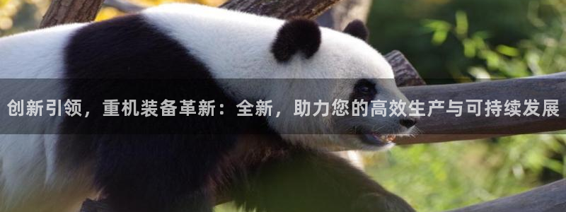 天宏娱乐内部32937：创新引领，重机装备革新：全新，助力您