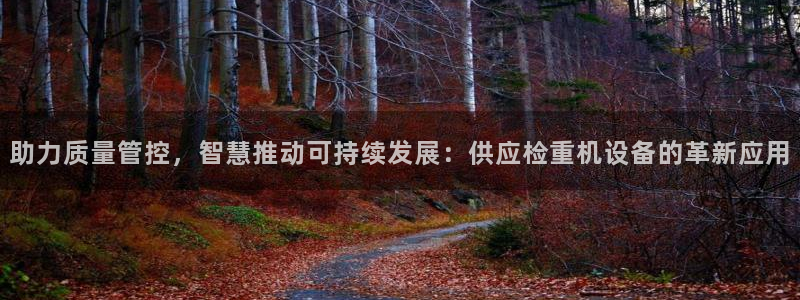 天宏娱乐天跃娱乐：助力质量管控，智慧推动可持续发展：供应检重
