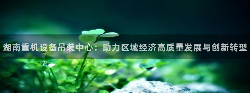 天宏娱乐666：湖南重机设备吊装中心：助力区域经济高质量发展