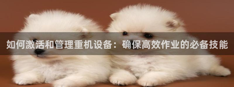 天宏娱乐招商主管：如何激活和管理重机设备：确保高效作业的必备