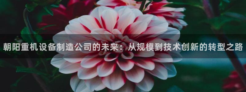 天宏娱乐总店：朝阳重机设备制造公司的未来：从规模到技术创新的
