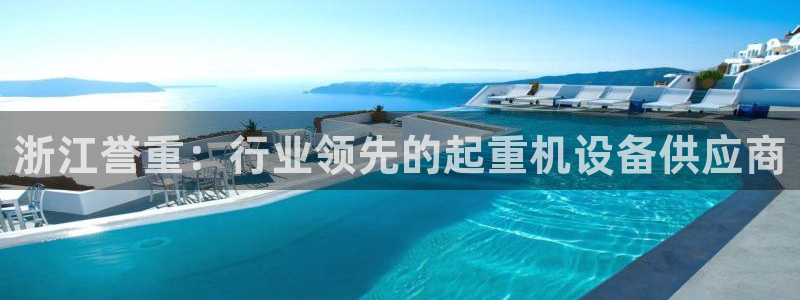 临沂天宏娱乐会所电话地址：浙江誉重：行业领先的起重机设备供应