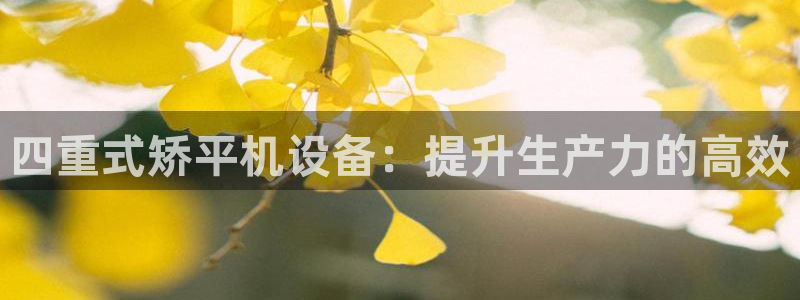 天宏娱乐胡叔：四重式矫平机设备：提升生产力的高效