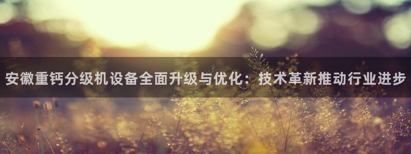 天宏娱乐2主管：安徽重钙分级机设备全面升级与优化：技术革新推