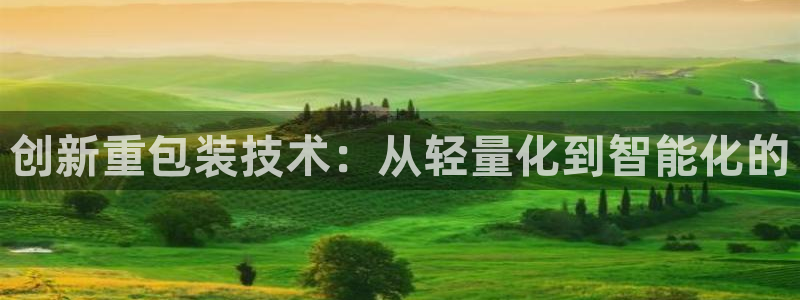 天宏娱乐主管待遇：创新重包装技术：从轻量化到智能化的