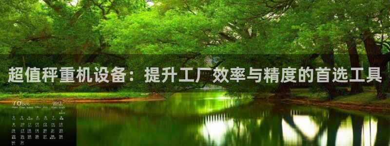 常平天宏娱乐会所电话：超值秤重机设备：提升工厂效率与精度的首