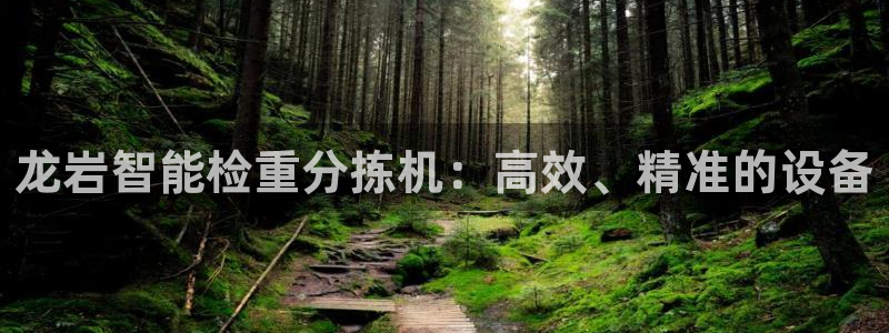天宏娱乐集团创始人：龙岩智能检重分拣机：高效、精准的设备