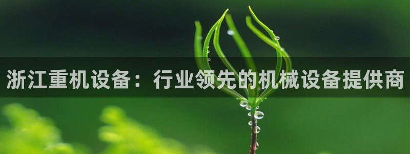 天宏娱乐平叔：浙江重机设备：行业领先的机械设备提供商