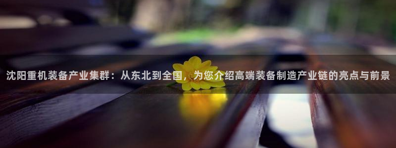 天宏娱乐大叔团队介绍视频
