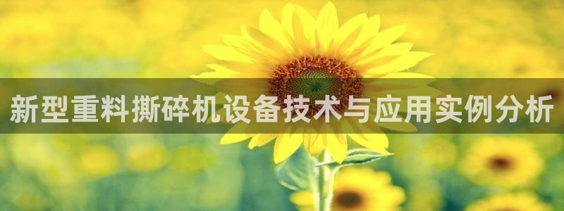 天宏娱乐集团创始人：新型重料撕碎机设备技术与应用实例分析