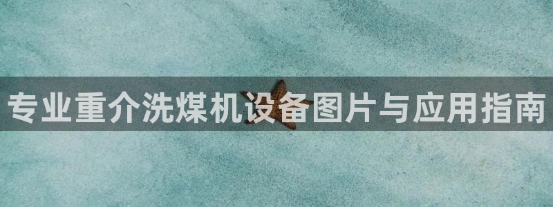 天宏娱乐实f力803466：专业重介洗煤机设备图片与应用指南