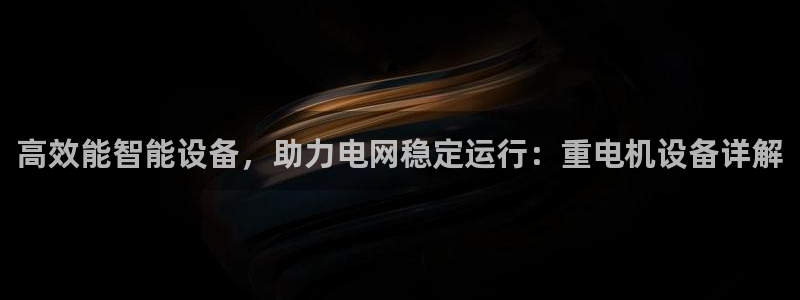 天宏娱乐福叔：高效能智能设备，助力电网稳定运行：重电机设备详