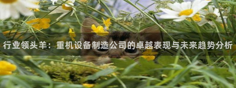 天宏娱乐石叔