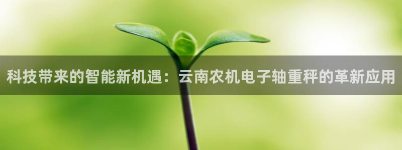 宏天娱乐官网：科技带来的智能新机遇：云南农机电子轴重秤的革新